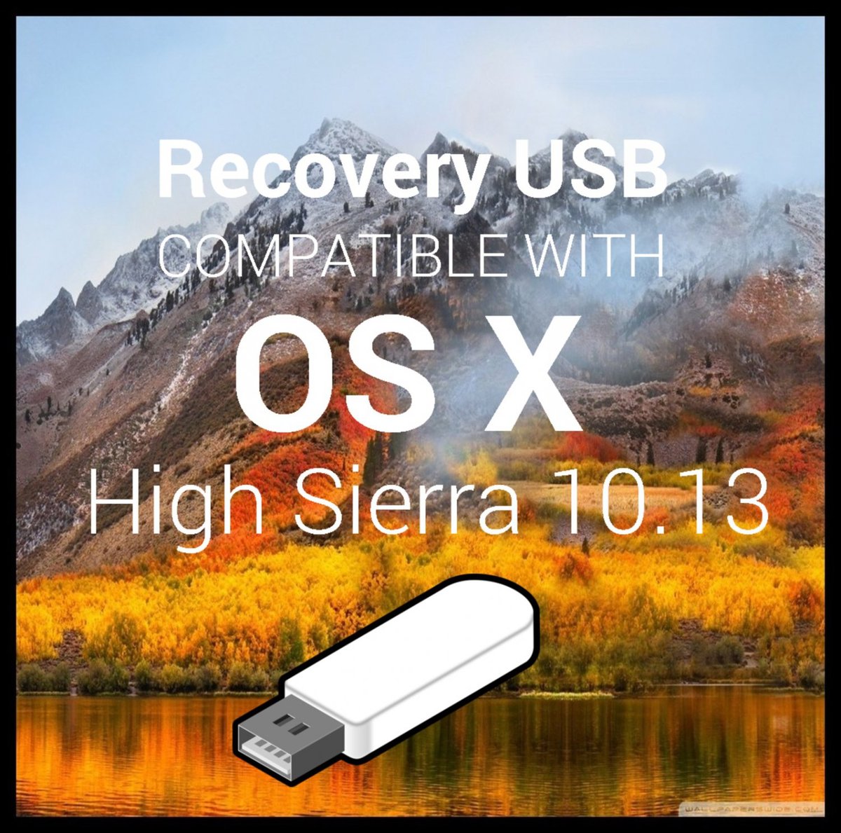 recovery usb for mac